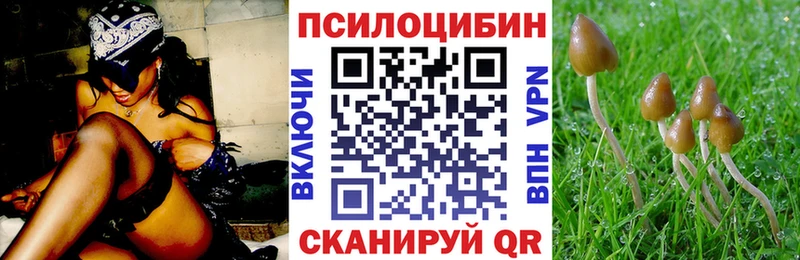 Псилоцибиновые грибы прущие грибы  купить  цена  Березники 